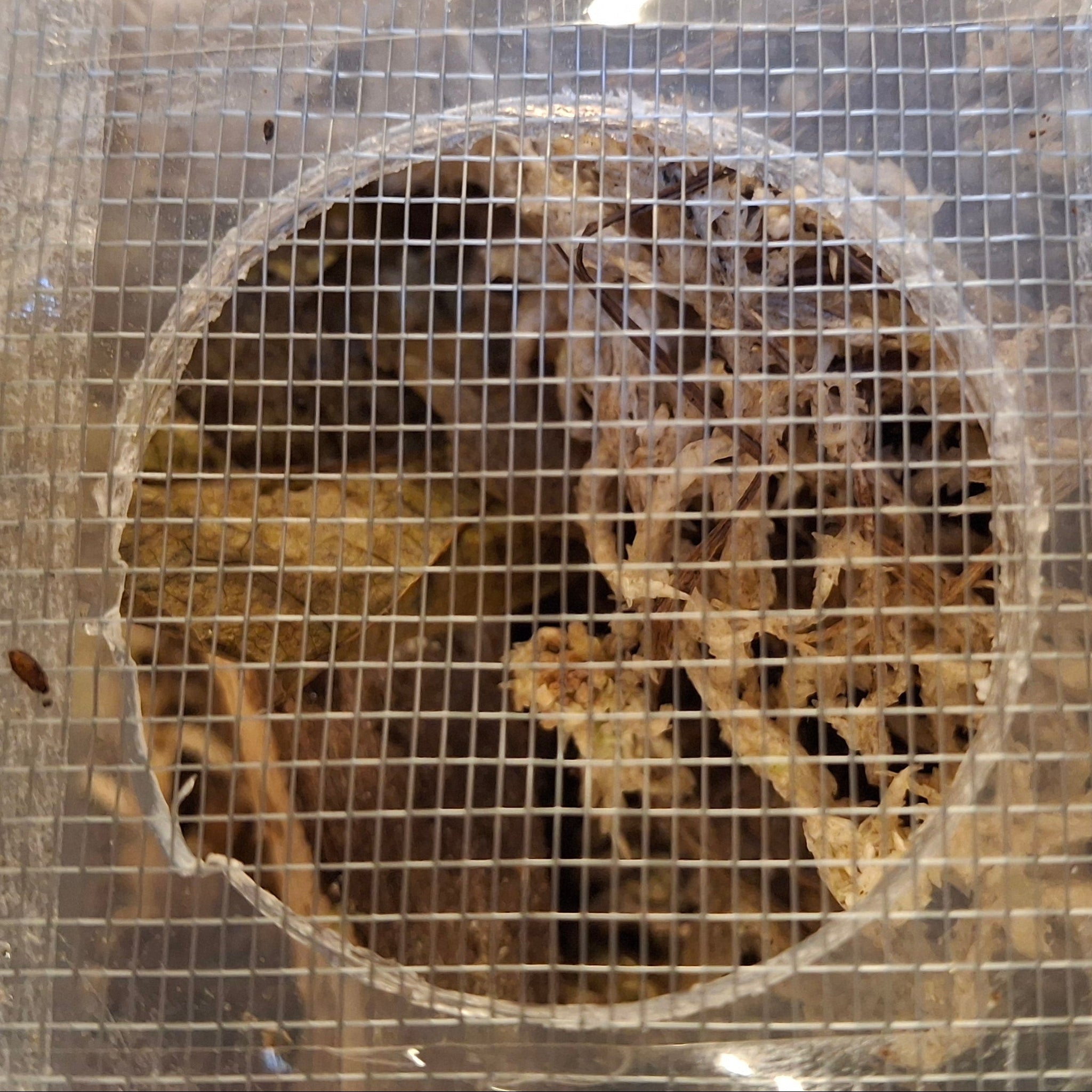 Self-Adhesive Ventilation Mesh 10cm