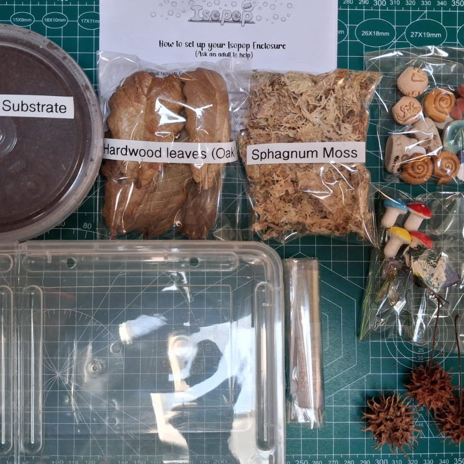 Kids Starter Enclosure Kit