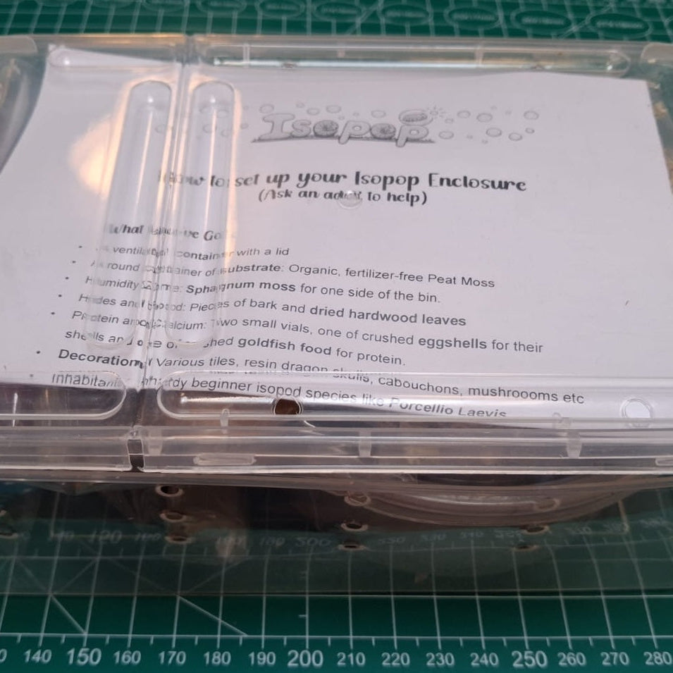 Kids Starter Enclosure Kit